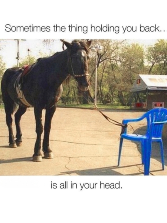 Accessories - Funny, but true.